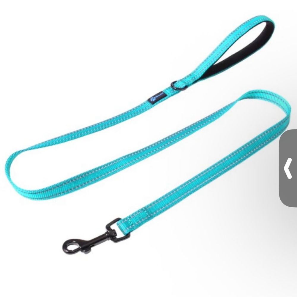 Dog Leash: Teal 6-foot Nylon Reflective Dog Leash